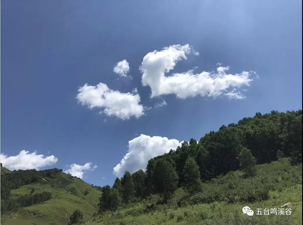 微信图片_20200308164012.jpg