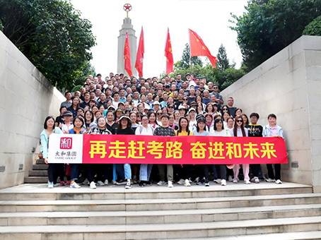 6966集团-不凡成就非凡,相信品牌的力量