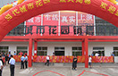 6966集团-不凡成就非凡,相信品牌的力量